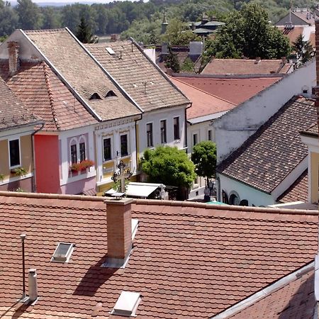 Nr 100 Szentendre Hotel Panzio Szolgaltatasok Bagian luar foto